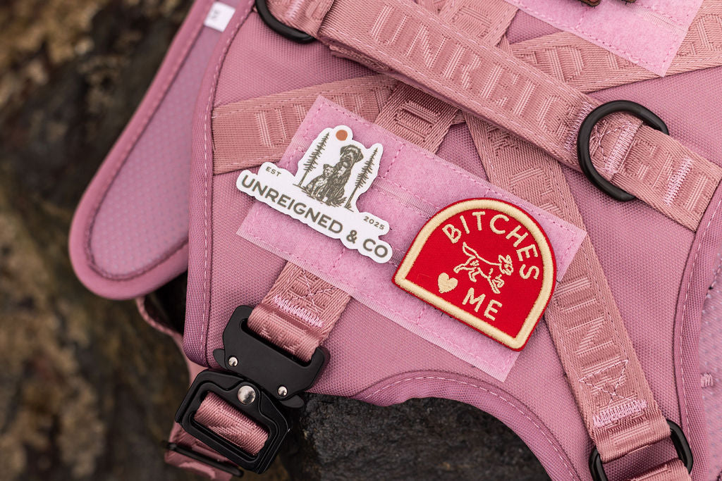 Bitches Love Me Patch