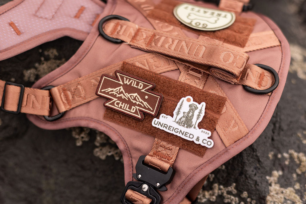 The Nomad Harness | Bark