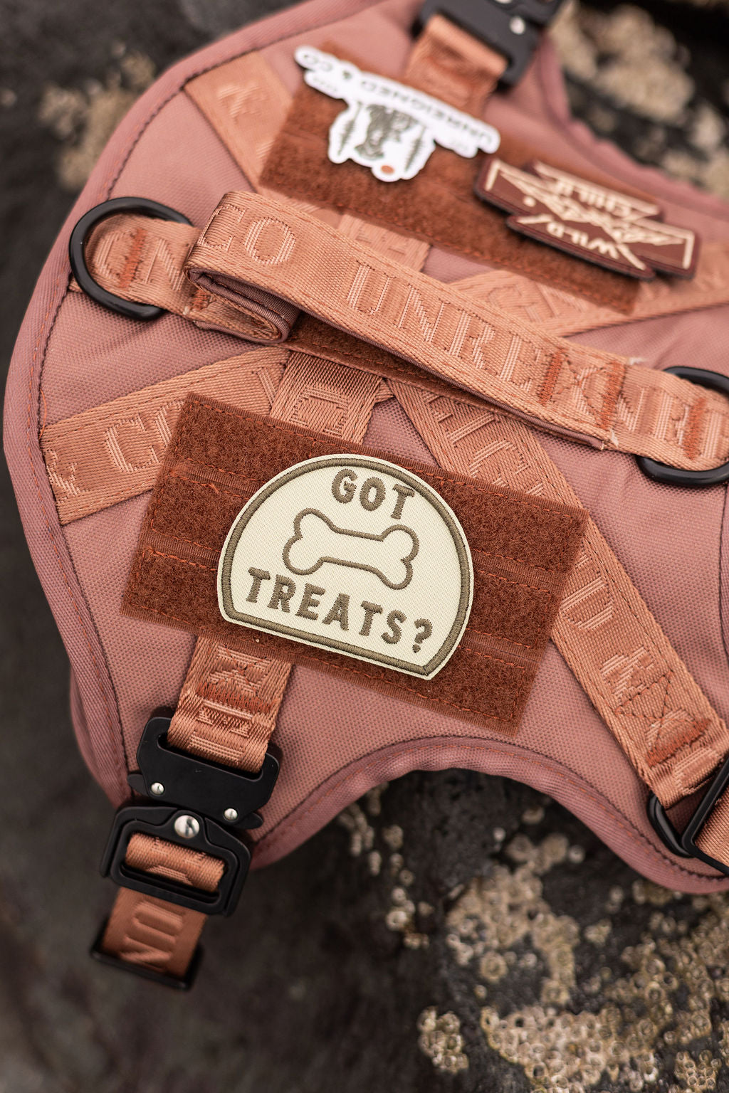 Got Treats Patch