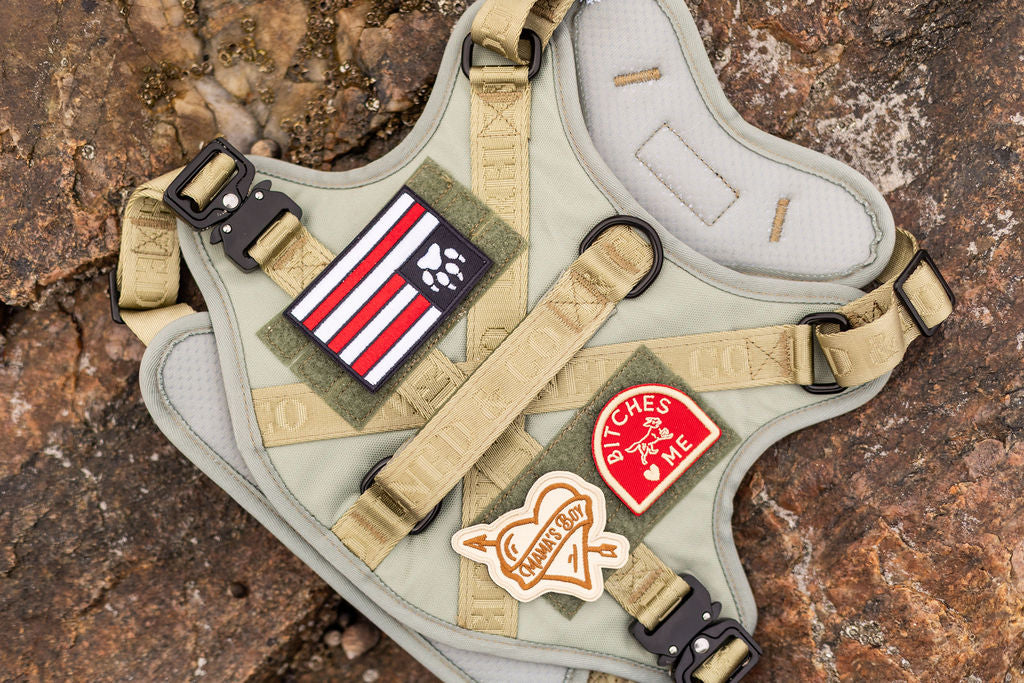 The Nomad Harness | Sage