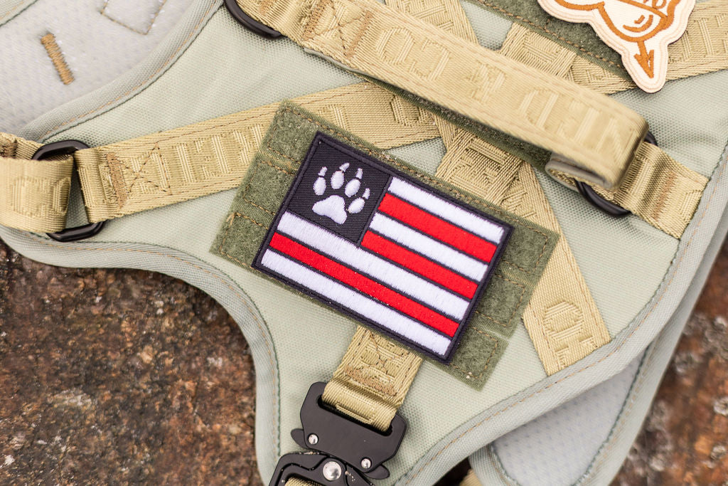 Paw Flag Patch