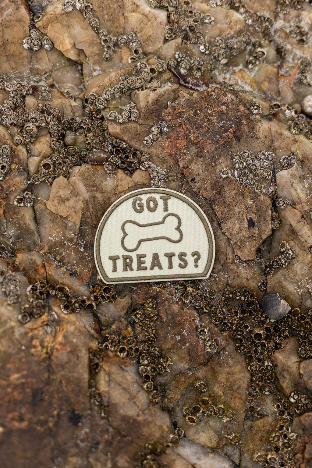 Got Treats Patch