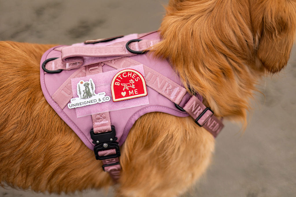 Bitches Love Me Patch