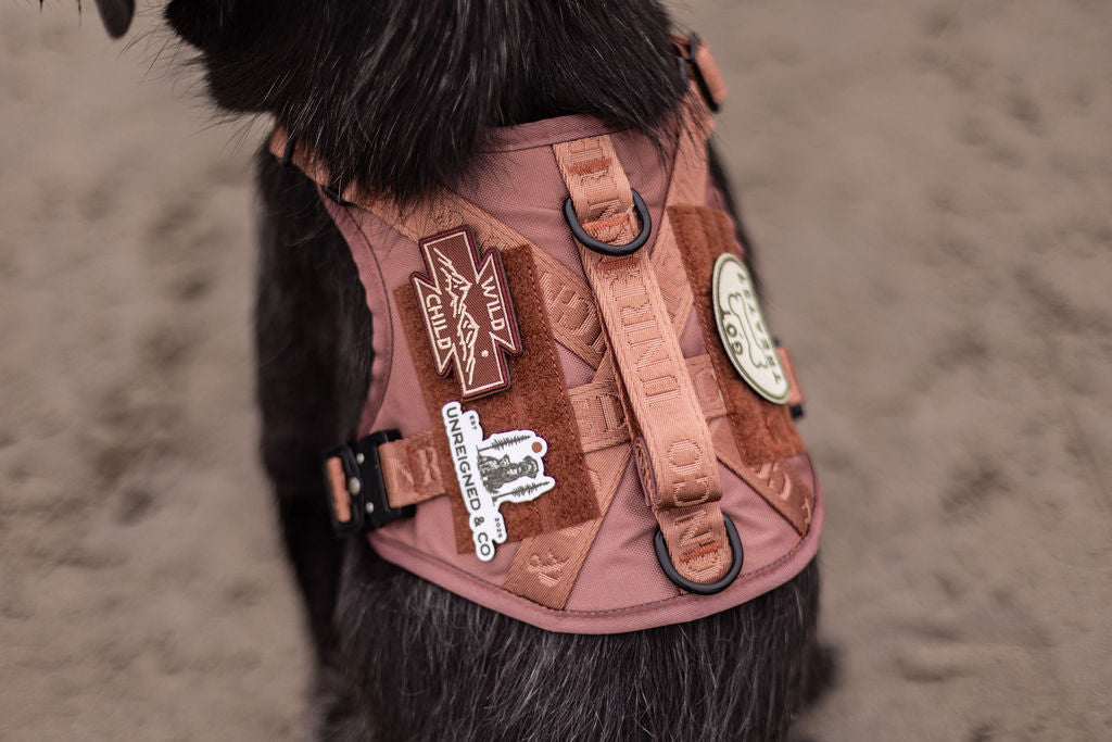 The Nomad Harness | Bark