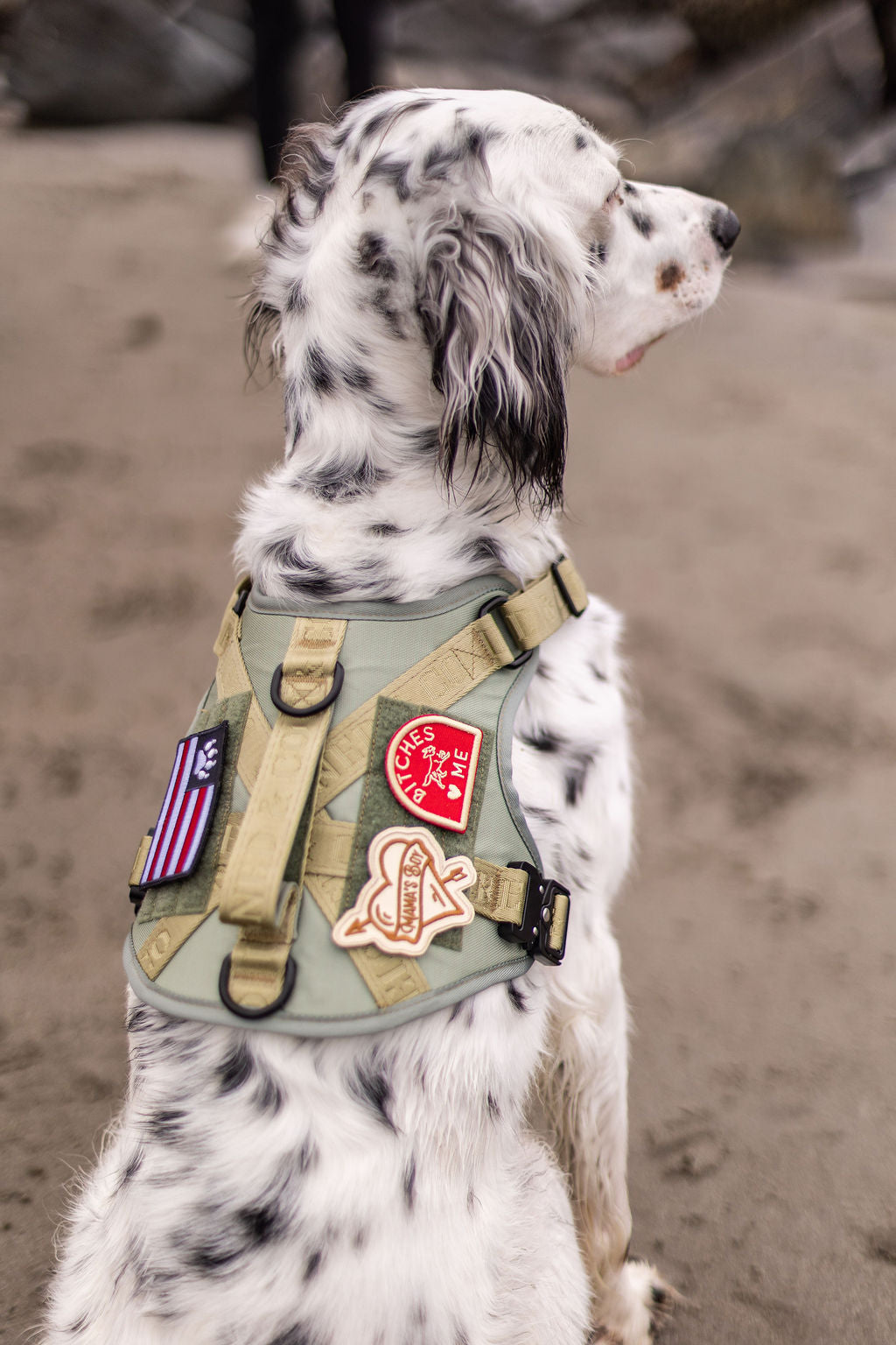 The Nomad Harness | Sage