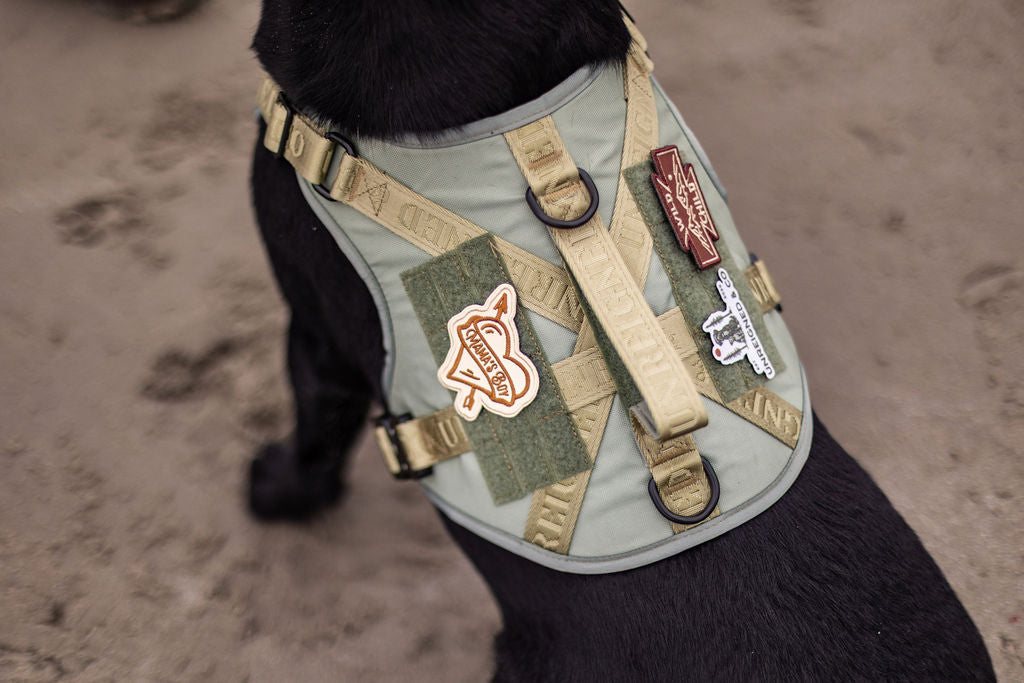 Mama's Boy Patch