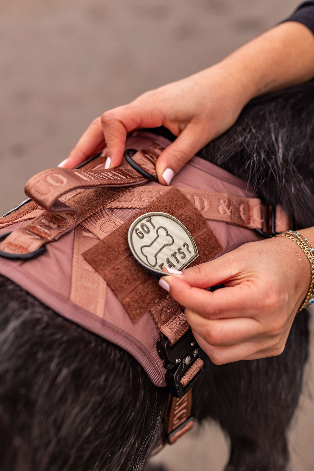 Got Treats Patch